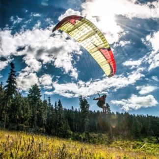 P2- Novice Student  Flex Course