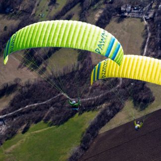 Triple Seven Pawn Evo